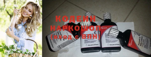 ГАЛЛЮЦИНОГЕННЫЕ ГРИБЫ Арсеньев