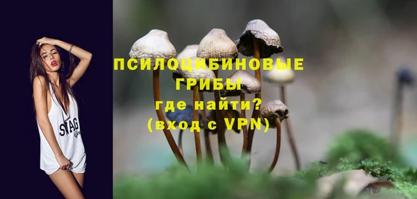 apvp Аркадак