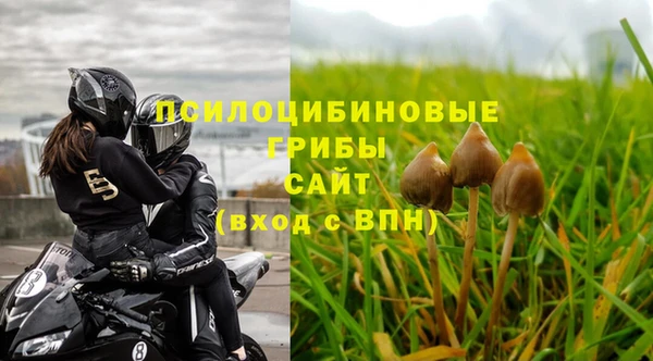 apvp Аркадак