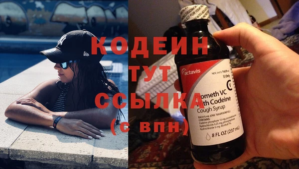 ГАЛЛЮЦИНОГЕННЫЕ ГРИБЫ Арсеньев