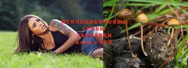 apvp Аркадак