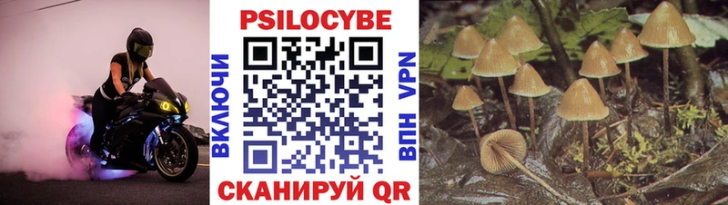 ссылка на мегу ONION  Армянск  Галлюциногенные грибы Cubensis 